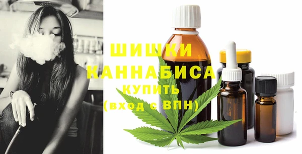 гидропоника Пересвет