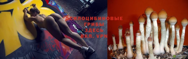 гидропоника Пересвет