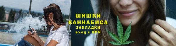 гидропоника Пересвет