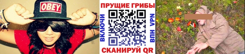 где купить наркоту  Абаза  KRAKEN маркетплейс  Псилоцибиновые грибы мухоморы 